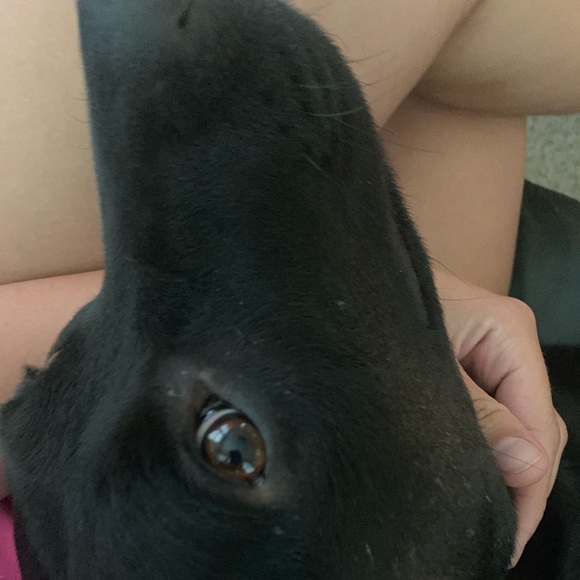 Going off to college sale! 🏫 Make offers! I will not get offended by any offer✨ - Picture 3 of 7